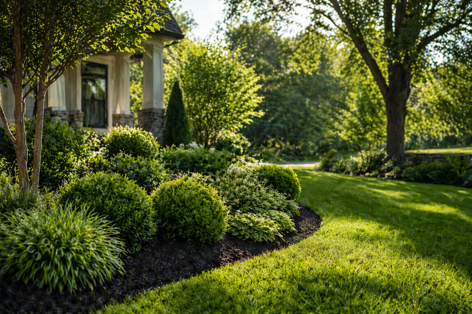 Well-manicured front yard with rounded evergreen shrubs and hostas along a house façade in bright sunlight.