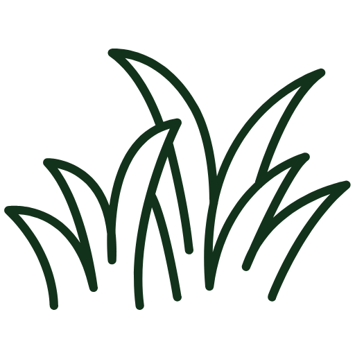Stylized dark green blades of grass on a black background, forming a simple botanical illustration.