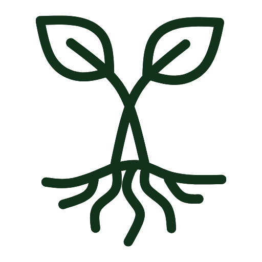 Stylized line drawing of a young seedling with two leaves and exposed roots.