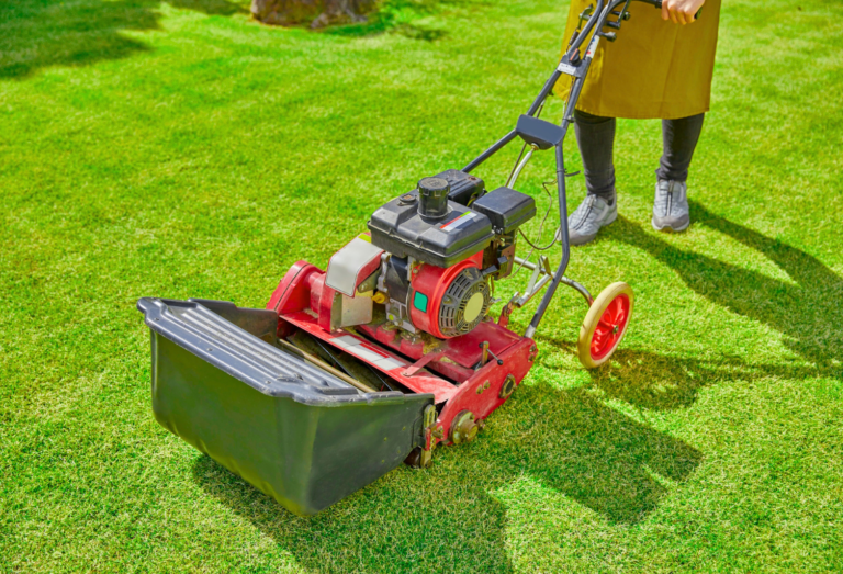 Person in a yellow dress pushing a red gas-powered lawn aerator across a well-manicured green lawn