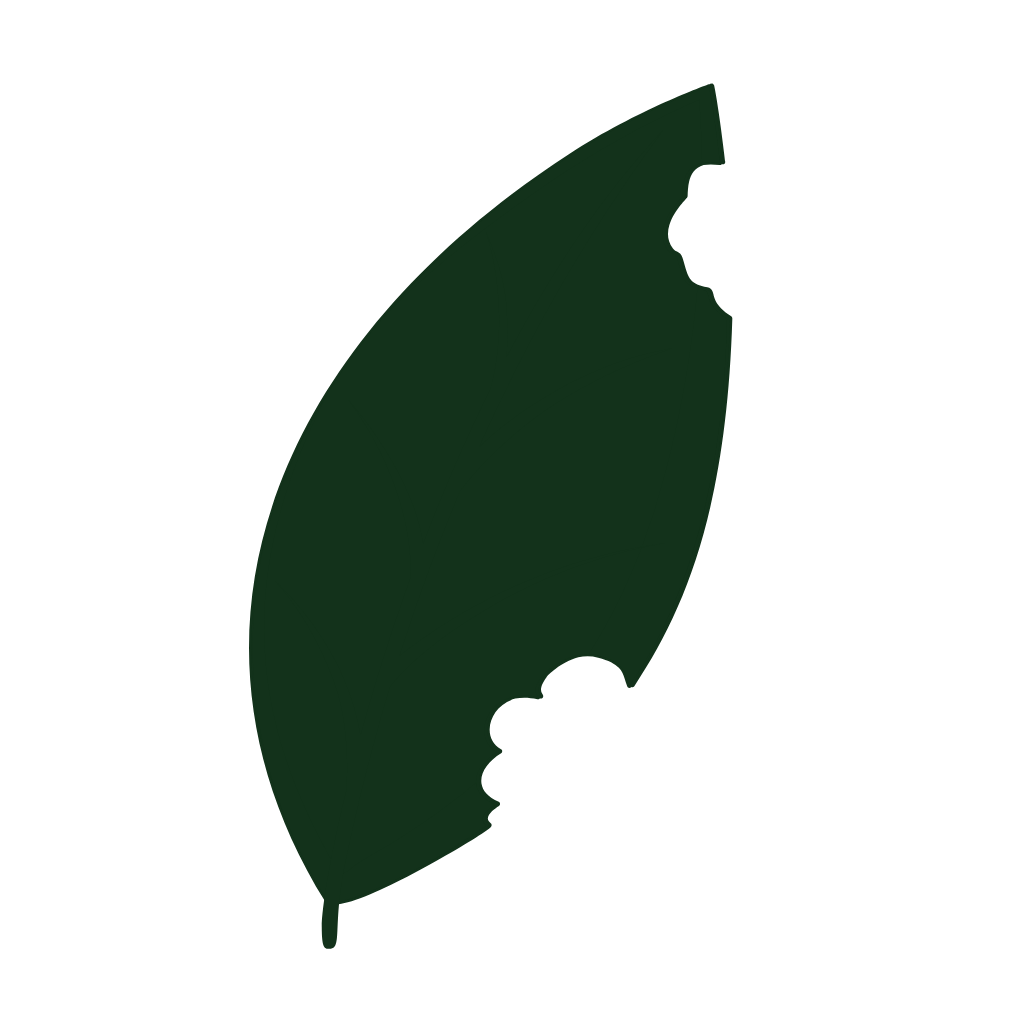 Dark green leaf silhouette with a bite-shaped hole near the bottom edge.