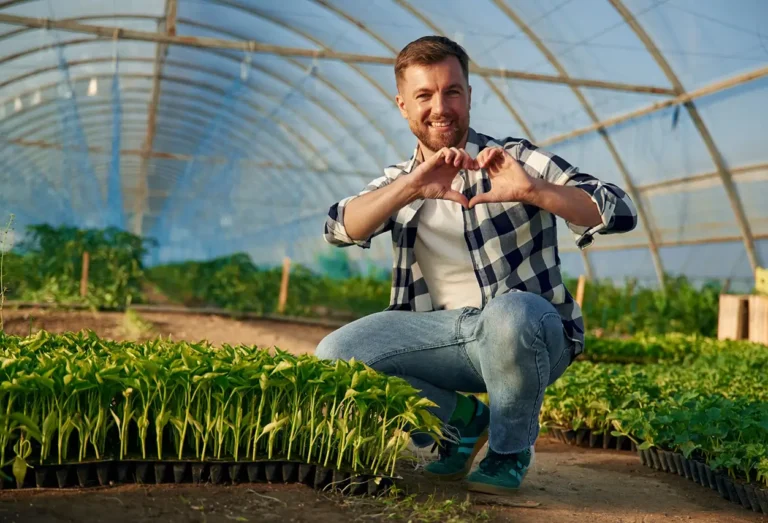 blog-3 - True Earth Solutions